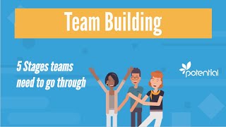 5 Stages of Team Building  What you should know when developing teams or groups [upl. by Trebled]