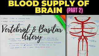 Blood Supply of Brain Part 2  Vertebral amp Basilar Artery  EOMS [upl. by Cirad]