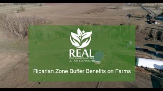 Riparian Zone Buffer Benefits on Farms [upl. by Stevens712]