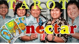 TAROT GRUPO NECTAR [upl. by Weed485]