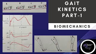 GAIT KINETICS  Part 1 Gait BiomechanicsPhysiotherapy Tutorial [upl. by De Witt]