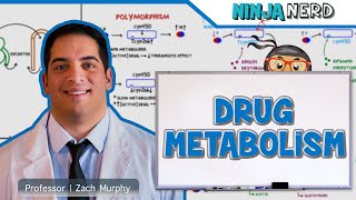 Pharmacokinetics  Drug Metabolism [upl. by Rudelson]