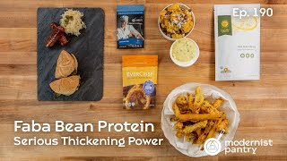 Faba Bean Protein Serious Thickening Power WTF  Ep 190 [upl. by Oibaf]