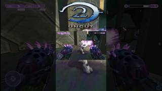 Halo 2 Meta DUAL NEEDLERS halo shorts funny meta gaming [upl. by Jehu215]