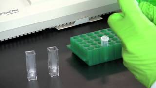 DNA Quantitation Using a Spectrophotometer [upl. by Niram]