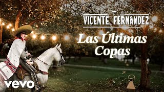 Vicente Fernández  Las Últimas Copas LetraLyrics [upl. by Llerrem]