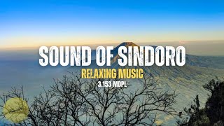 Relaxing Music  Sound Of Sindoro  Original by Eminor [upl. by Alil]