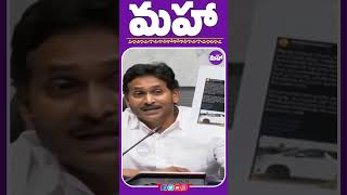 ఇంత నీచమా  ysjagan mahaadaily latesupdates [upl. by Ayhtin]