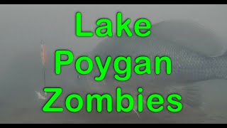 Poygan Zombies During Battle on Bago 2022 Short [upl. by Enneiluj]