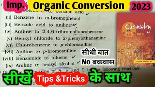 Master Amines Conversion in Organic Chemistry Uncover the Most Important Question [upl. by Roseann]