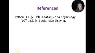 McDonald Diencephalon Brainstem amp Cerebellum Part 2 [upl. by Aisanat]