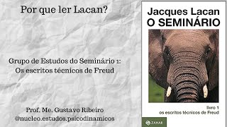 Por que ler Lacan Trechos do Grupo de Estudo do Seminário 1 os escritos técnicos de Freud [upl. by Norwood124]