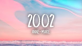 AnneMarie  2002 Lyrics [upl. by Airtemad]