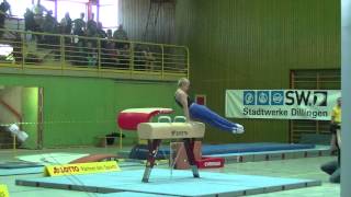 Spiridonov Eugen Pommel horse [upl. by Esyle]