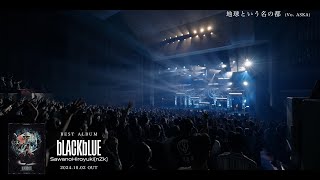 『澤野弘之 LIVE nZk008』DIGEST [upl. by Ailedroc]