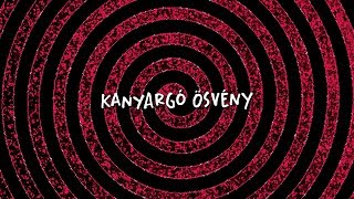 hiperkarma  kanyargó ösvény official lyric video [upl. by Fonz8]