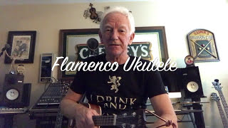 Flamenco Ukulele Lesson by Jeebs McSnooty [upl. by Macdermot]