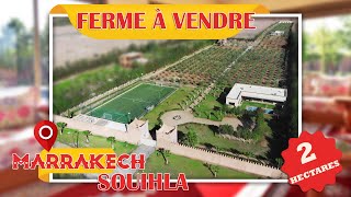 Ferme à vendre à souihla marrakech [upl. by Onyx]