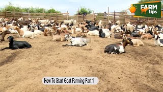 How To Start Goat Farming Part 1 [upl. by Nyrrat]