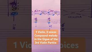 1 Violin 3 voices bach musictheory analysis soloviolin partita counterpoint violin jsb [upl. by Nor]