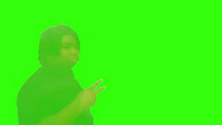 Nilesey Niles Disappears  Green Screen Chromakey [upl. by Atik]