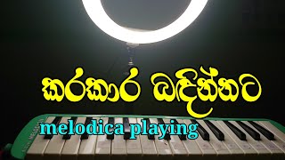 කරකාර බඳින්නට song melodica playingsong [upl. by Morocco982]