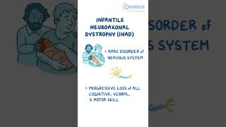 Infantile Neuroaxonal Dystrophy [upl. by Sindee581]