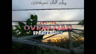 OVERLOAD SpadeZ remix ZINNIA [upl. by Mazur]