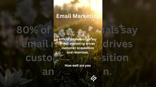 📧 Email Marketing Your Key to Customer Success 🚀 emailmarketing emailmarketingstrategy facts [upl. by Adnyc623]