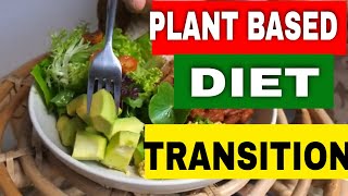 PLANTBASED DIET 🌱 How to Make the Transition Easy [upl. by Aisset]