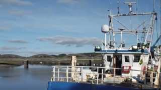 WELCOME TO KIRKCUDBRIGHT [upl. by Nylak]