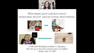 Elizabeth Spelke  What infants know and dont know [upl. by Marj]