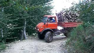 Unimog trasporto legna [upl. by Obaza83]