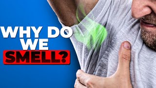 The Science of Body Odor Science Behind Your Sweat [upl. by Kevyn93]