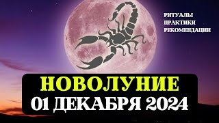 НОВОЛУНИЕ В СКОРПИОНЕ 01 ДЕКАБРЯ 2024 ЧТО ДЕЛАТЬ НЕЛЬЗЯ РЕКОМЕНДАЦИИ ЗНАКАМ ПРАКТИКИ И РИТУАЛЫ [upl. by Nayra888]