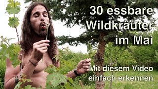 30 Wildkräuter im Mai 🍃Ich zeige detailliert essbare Wildpflanzen und gebe Praxistipps In HD [upl. by Prestige]