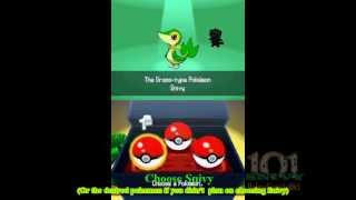 How To Obtain A Female Snivy in Pokemon Black [upl. by Nairda813]