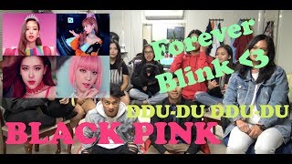 DIVERSITY Blackpink  뚜두뚜두 DDUDU DDUDU Reaction Video  SPECIAL GUEST DOGGO [upl. by Hairas]