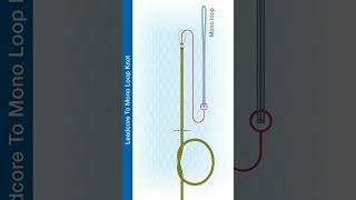 Shorts How to Tie The Leadcore To Mono Loop Knot [upl. by Lorrac]