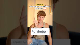 Ich errate eure Dialekt Wörter 🇦🇹⚠️ FOTZHOBEL [upl. by Notgnillew205]