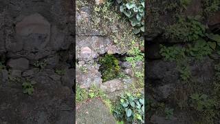 Vasai Fort  Vasai virar  Maharashtra itsanneisvlogs123 [upl. by Naliorf]