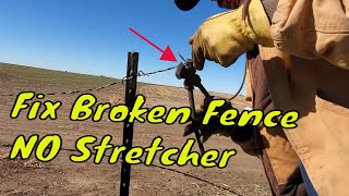 Tighten Barbed Wire WITHOUT Fence Stretcher [upl. by Daffie821]