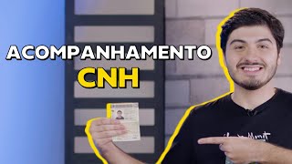 Como funcionam as regras de pontuação da CNH quando ela pode ser suspensa e mais ChamaoGringo [upl. by Neelyam987]