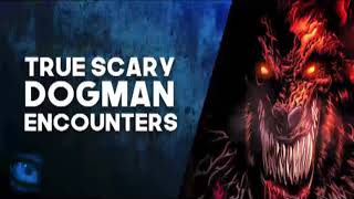 13 DOGMAN STORIES SCARY TRUE DOGMAN ENCOUNTERS [upl. by Reiter]