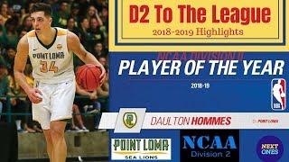 Daulton Hommes DECLARES for the NBA  D2 Player of the Year 20182019 Highlights  Next Ones [upl. by Vivie767]