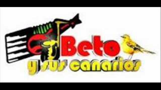 Tengo Ganas Beto y sus canarios [upl. by Halullat]