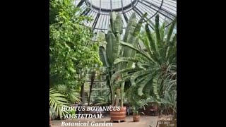 Hortus Botanicus Amsterdam Botanical garden Amsterdam   5 minute travel guide  What to visit [upl. by Sonja]