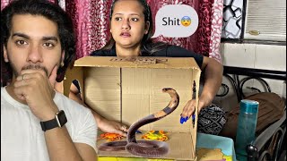 What’s In The Box Challenge 🤯 Live Animals With A Twist SHANAYA MASROOR [upl. by Ainnat]