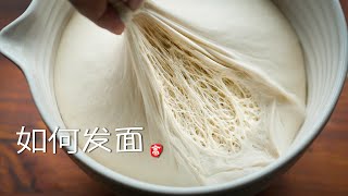 如何发面 Dough Fermentation [upl. by Billmyre]