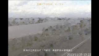 信濃川下流 信濃川水系 新潟県新潟市江南区 新潟大橋・平成大橋 ライブカメラ 20231125 定点観測 Shinano River Live Camera [upl. by Noj]